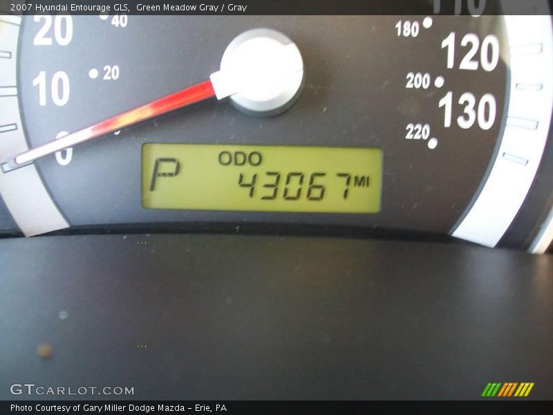 Green Meadow Gray / Gray 2007 Hyundai Entourage GLS