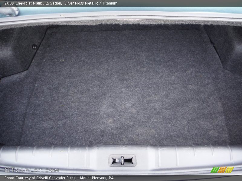 Silver Moss Metallic / Titanium 2009 Chevrolet Malibu LS Sedan