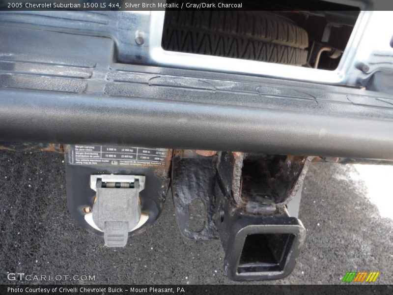 Silver Birch Metallic / Gray/Dark Charcoal 2005 Chevrolet Suburban 1500 LS 4x4