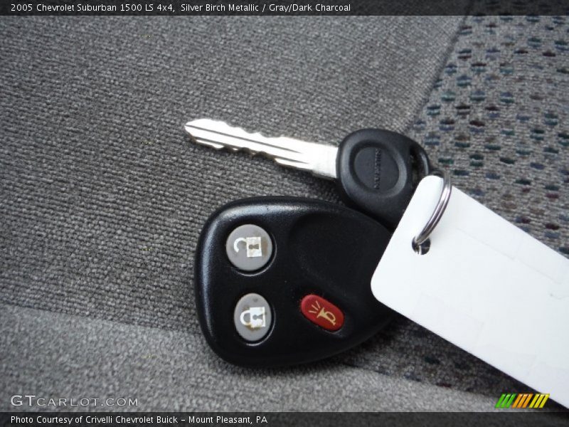 Silver Birch Metallic / Gray/Dark Charcoal 2005 Chevrolet Suburban 1500 LS 4x4