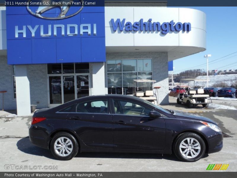 Black Plum Pearl / Camel 2011 Hyundai Sonata GLS