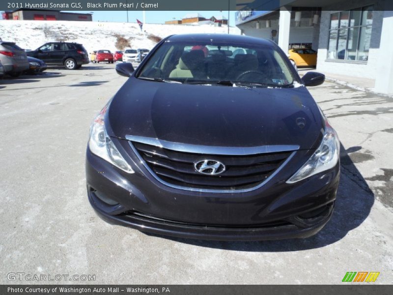 Black Plum Pearl / Camel 2011 Hyundai Sonata GLS