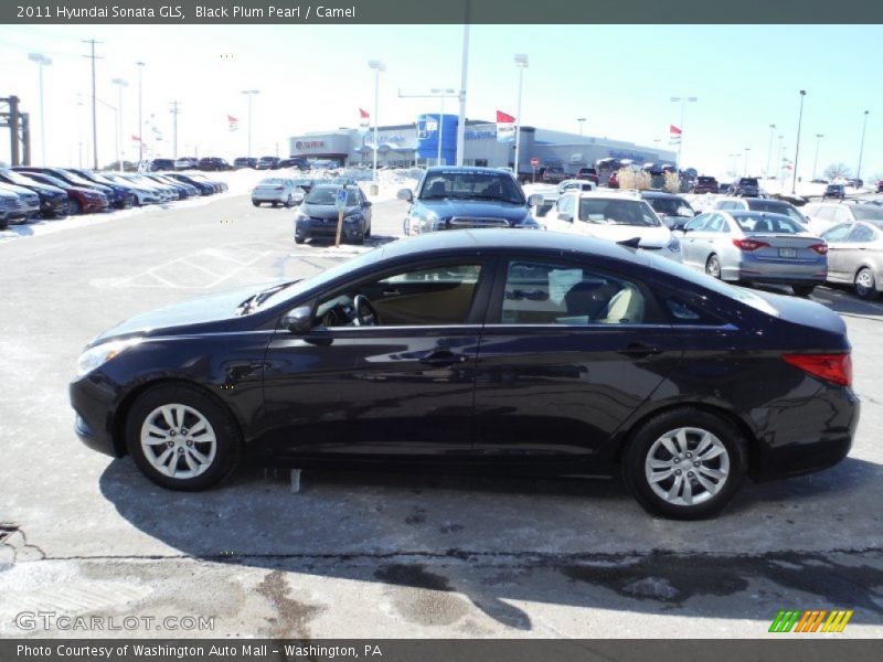 Black Plum Pearl / Camel 2011 Hyundai Sonata GLS