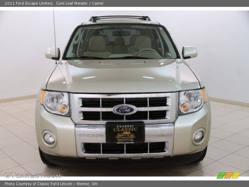 Gold Leaf Metallic / Camel 2011 Ford Escape Limited