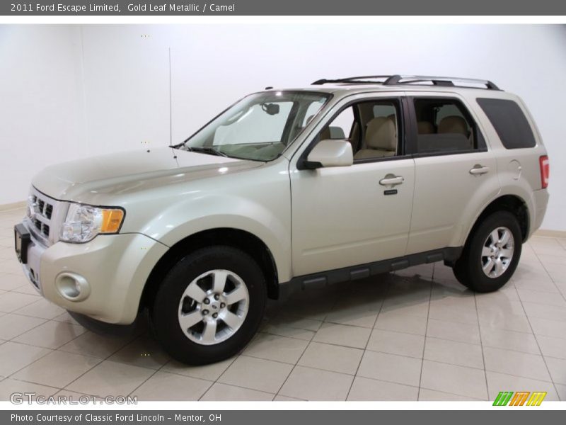 Gold Leaf Metallic / Camel 2011 Ford Escape Limited