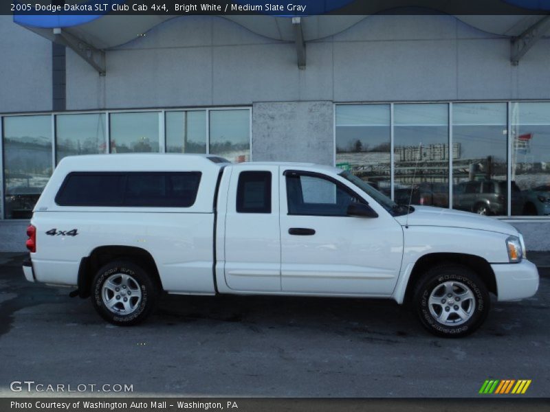 Bright White / Medium Slate Gray 2005 Dodge Dakota SLT Club Cab 4x4