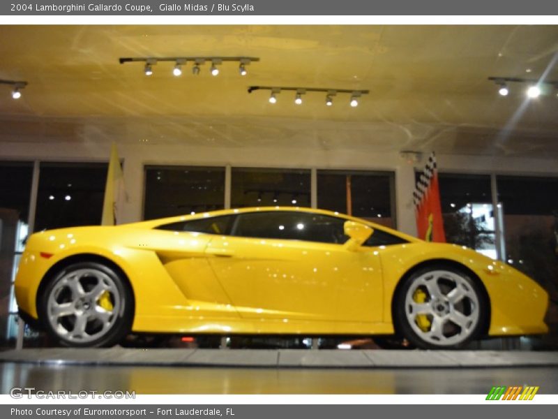 Giallo Midas / Blu Scylla 2004 Lamborghini Gallardo Coupe