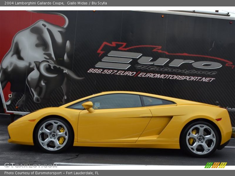 Giallo Midas / Blu Scylla 2004 Lamborghini Gallardo Coupe