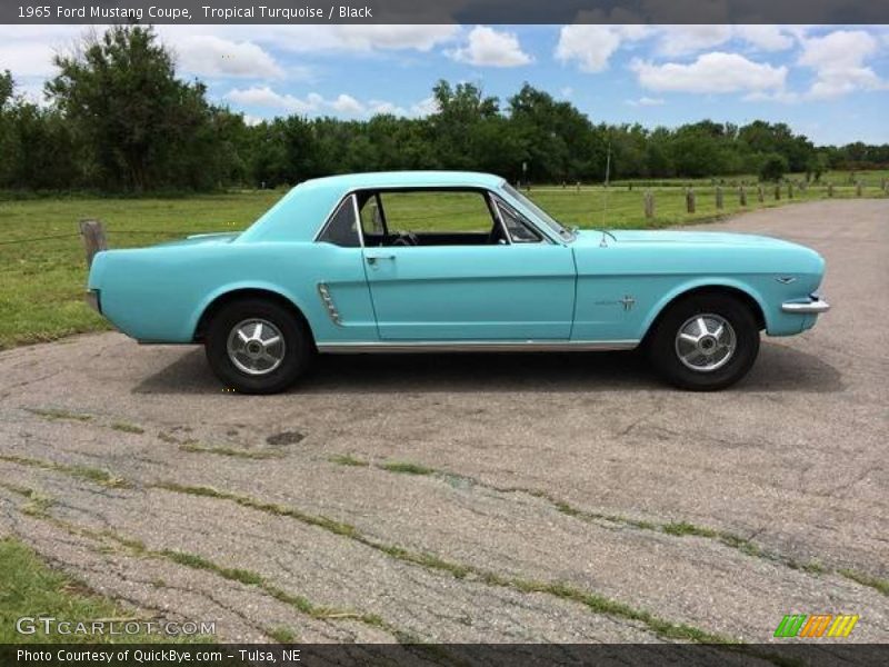 Tropical Turquoise / Black 1965 Ford Mustang Coupe
