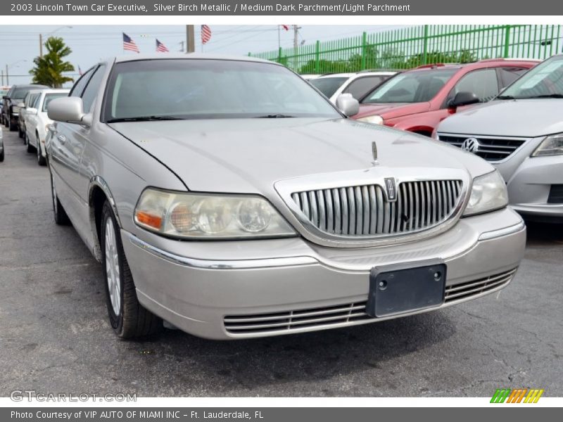 Silver Birch Metallic / Medium Dark Parchment/Light Parchment 2003 Lincoln Town Car Executive