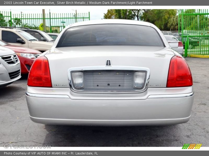 Silver Birch Metallic / Medium Dark Parchment/Light Parchment 2003 Lincoln Town Car Executive