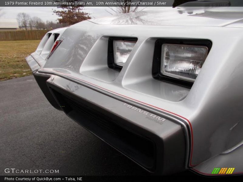 Door Panel of 1979 Firebird 10th Anniversary Trans Am