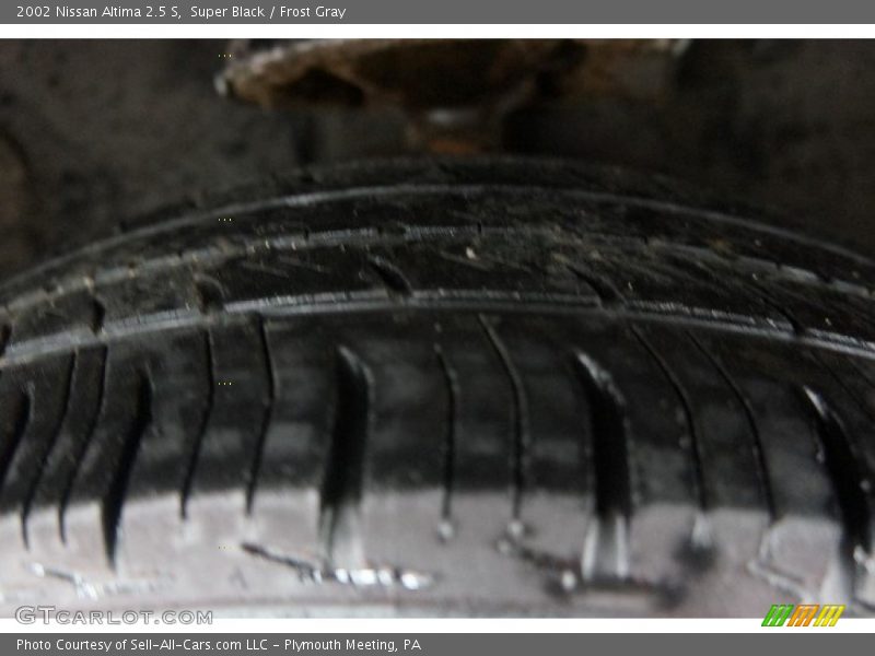 Super Black / Frost Gray 2002 Nissan Altima 2.5 S