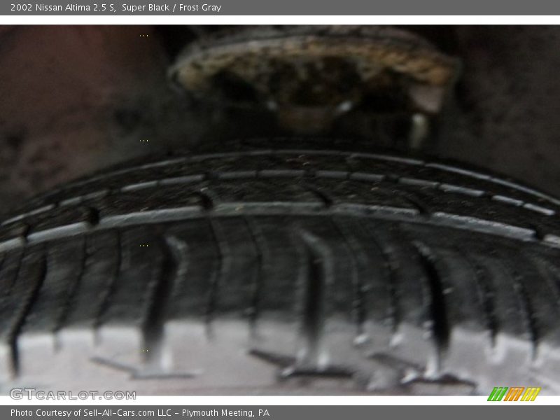 Super Black / Frost Gray 2002 Nissan Altima 2.5 S