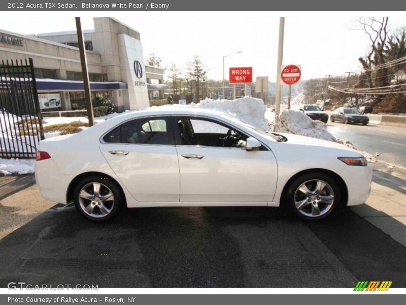 Bellanova White Pearl / Ebony 2012 Acura TSX Sedan