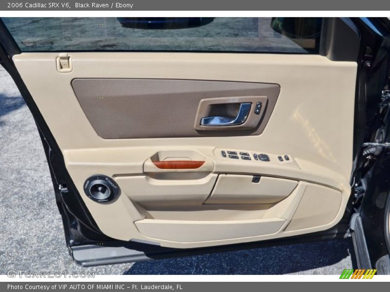 Door Panel of 2006 SRX V6