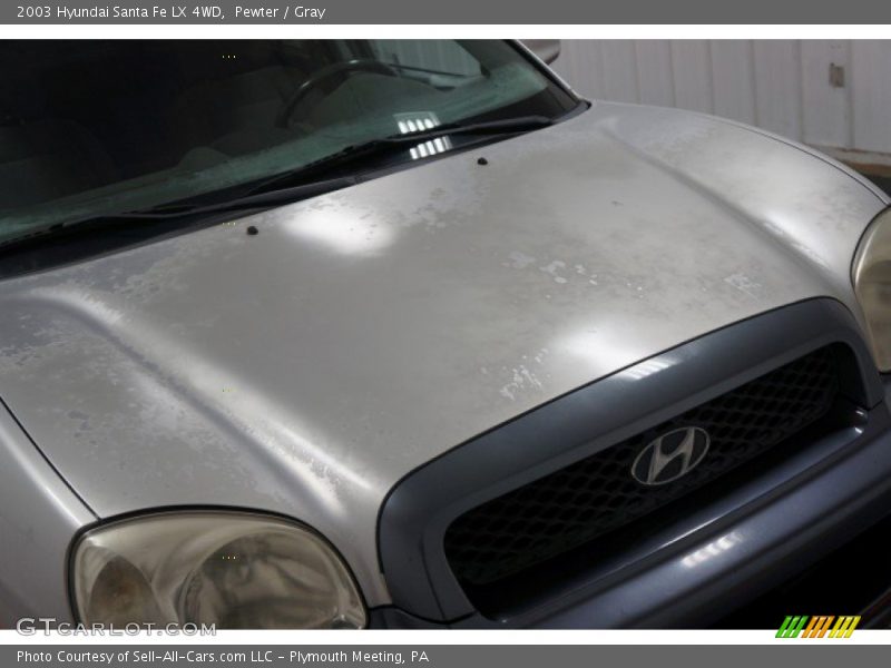 Pewter / Gray 2003 Hyundai Santa Fe LX 4WD