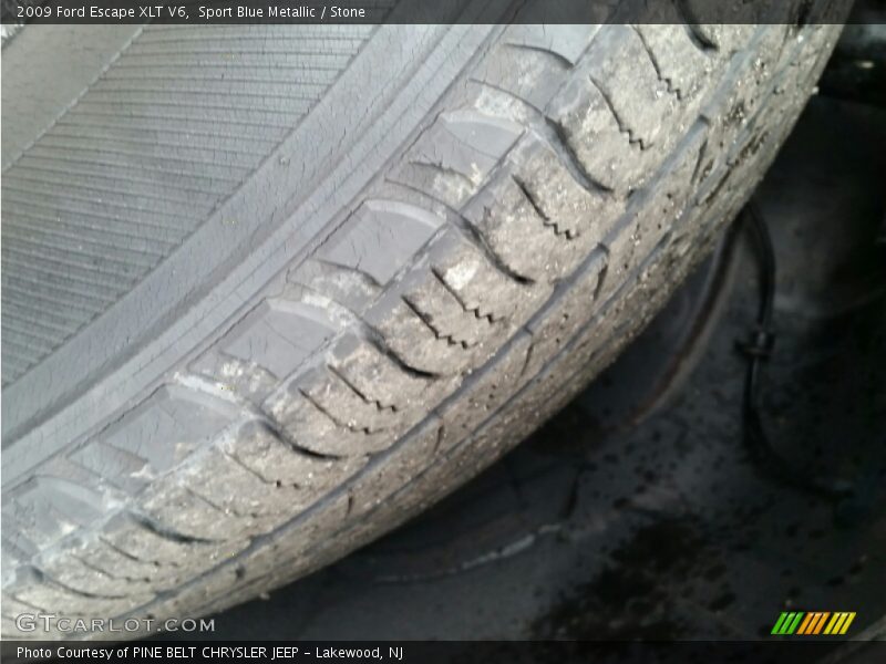 Sport Blue Metallic / Stone 2009 Ford Escape XLT V6