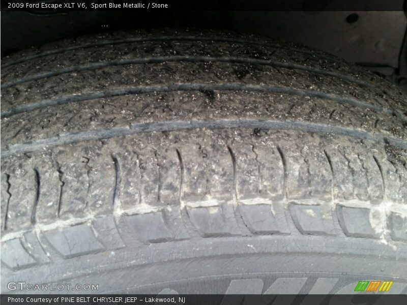 Sport Blue Metallic / Stone 2009 Ford Escape XLT V6