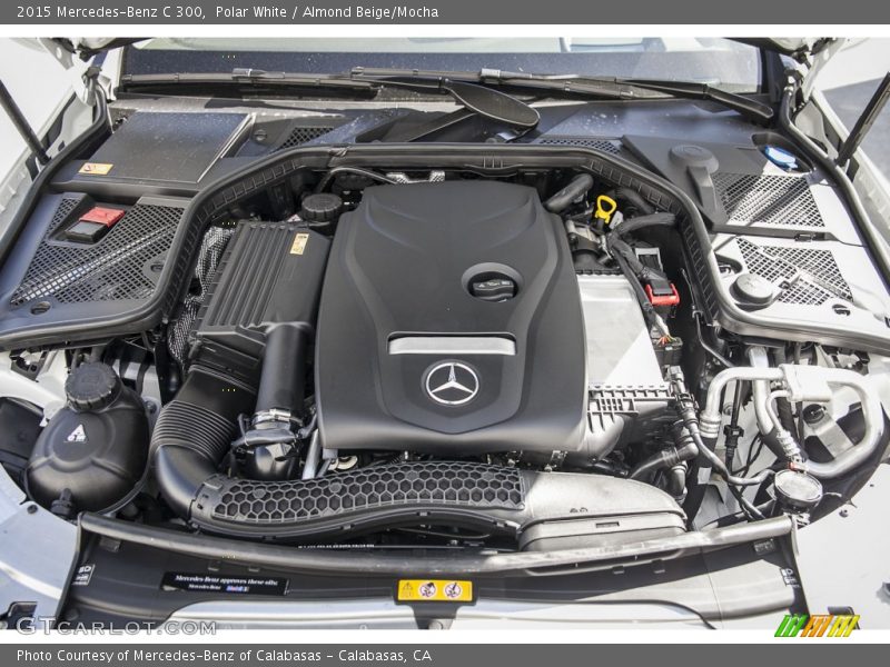 Polar White / Almond Beige/Mocha 2015 Mercedes-Benz C 300