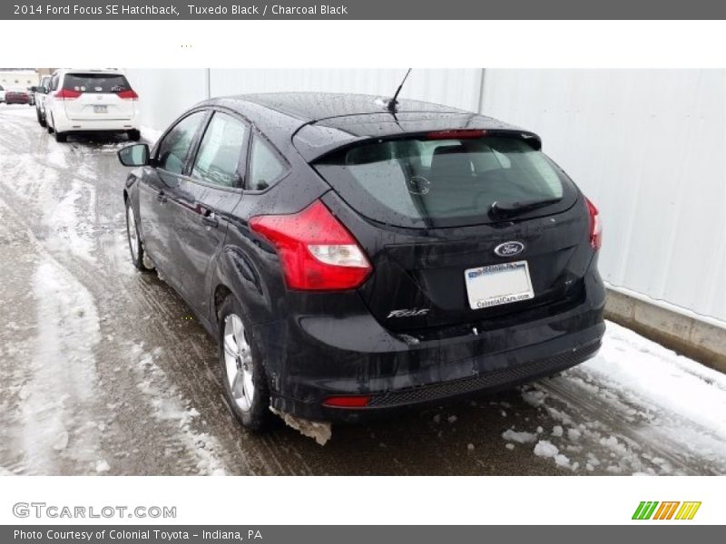 Tuxedo Black / Charcoal Black 2014 Ford Focus SE Hatchback