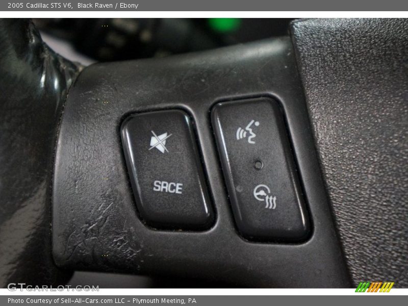 Black Raven / Ebony 2005 Cadillac STS V6