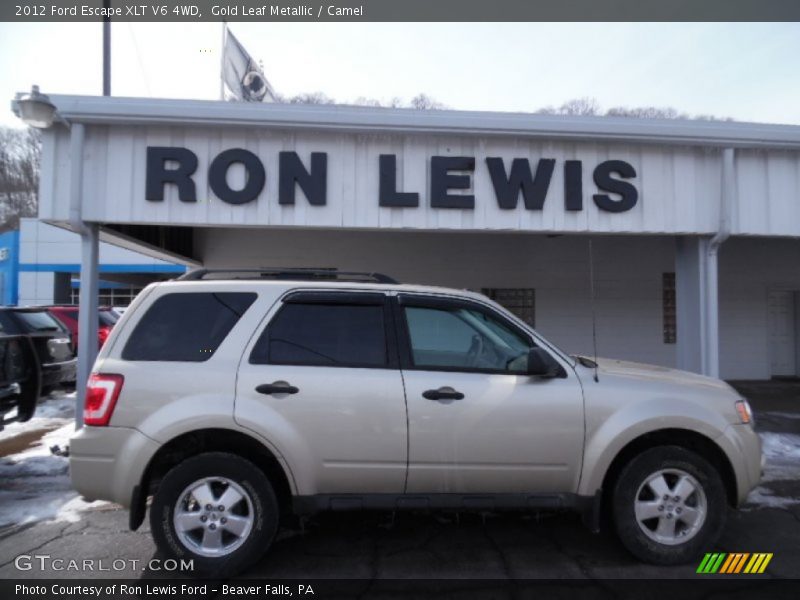 Gold Leaf Metallic / Camel 2012 Ford Escape XLT V6 4WD