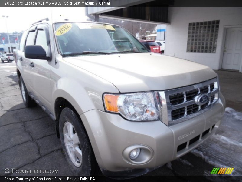 Gold Leaf Metallic / Camel 2012 Ford Escape XLT V6 4WD
