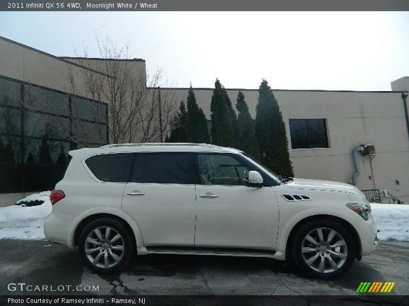 Moonlight White / Wheat 2011 Infiniti QX 56 4WD