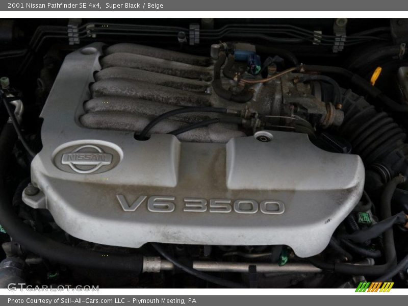Super Black / Beige 2001 Nissan Pathfinder SE 4x4