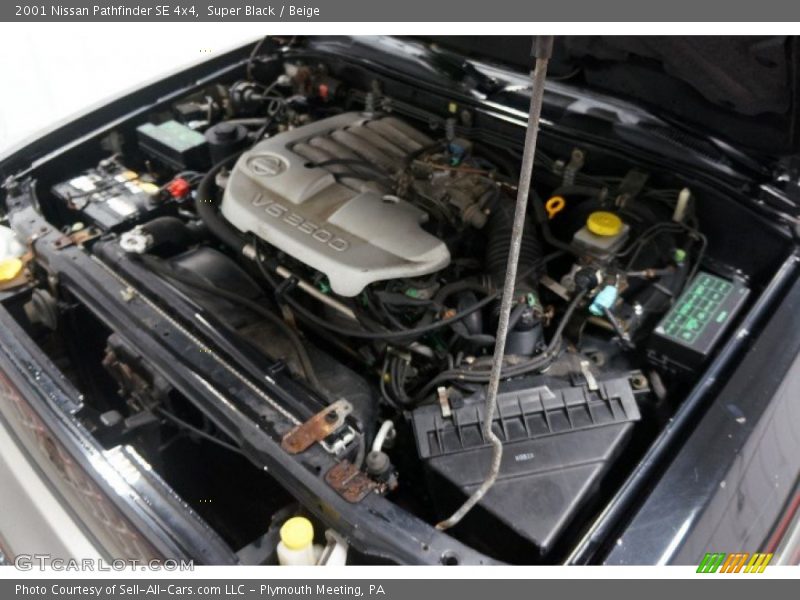 Super Black / Beige 2001 Nissan Pathfinder SE 4x4