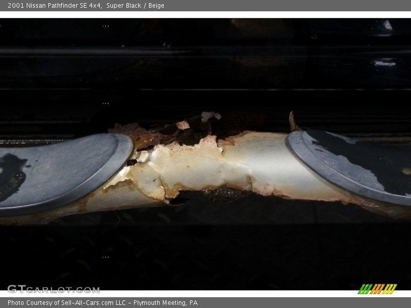 Super Black / Beige 2001 Nissan Pathfinder SE 4x4