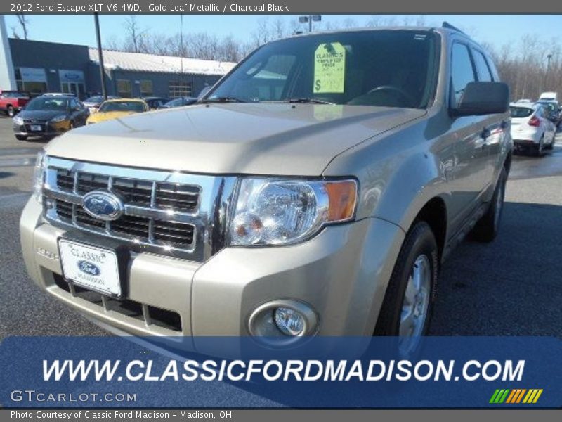 Gold Leaf Metallic / Charcoal Black 2012 Ford Escape XLT V6 4WD