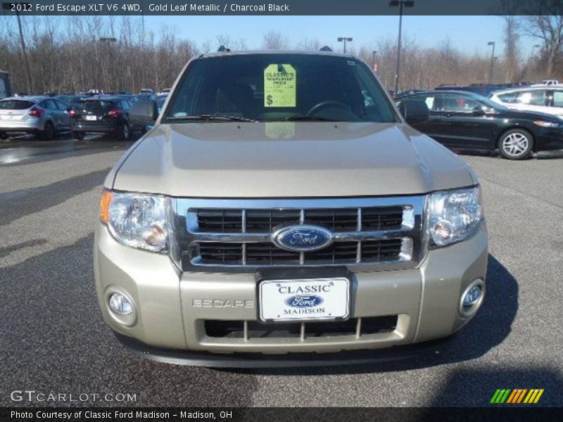 Gold Leaf Metallic / Charcoal Black 2012 Ford Escape XLT V6 4WD