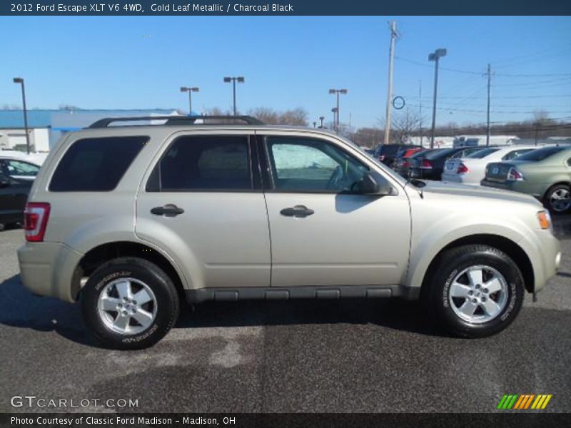 Gold Leaf Metallic / Charcoal Black 2012 Ford Escape XLT V6 4WD