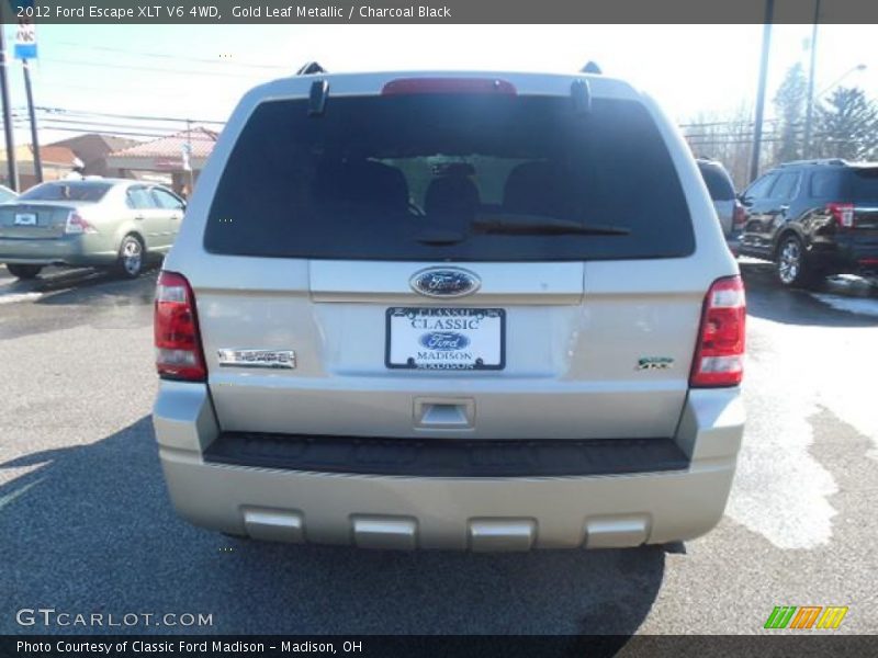 Gold Leaf Metallic / Charcoal Black 2012 Ford Escape XLT V6 4WD