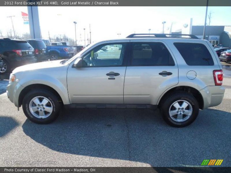 Gold Leaf Metallic / Charcoal Black 2012 Ford Escape XLT V6 4WD