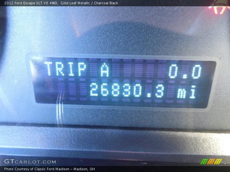 Gold Leaf Metallic / Charcoal Black 2012 Ford Escape XLT V6 4WD