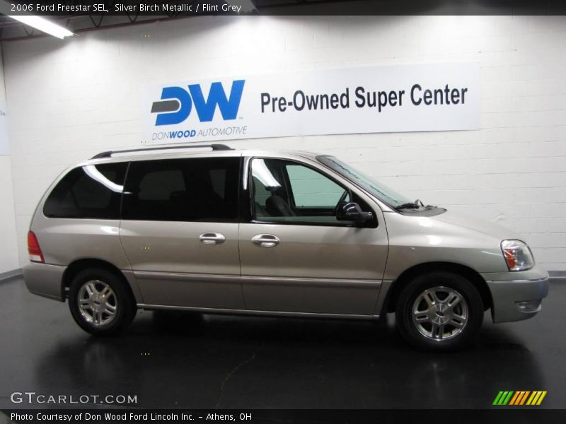 Silver Birch Metallic / Flint Grey 2006 Ford Freestar SEL
