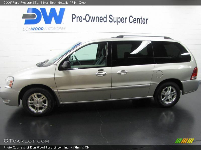 Silver Birch Metallic / Flint Grey 2006 Ford Freestar SEL
