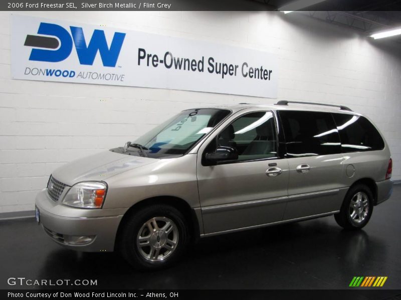 Silver Birch Metallic / Flint Grey 2006 Ford Freestar SEL