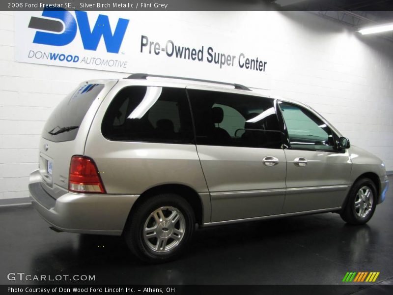 Silver Birch Metallic / Flint Grey 2006 Ford Freestar SEL