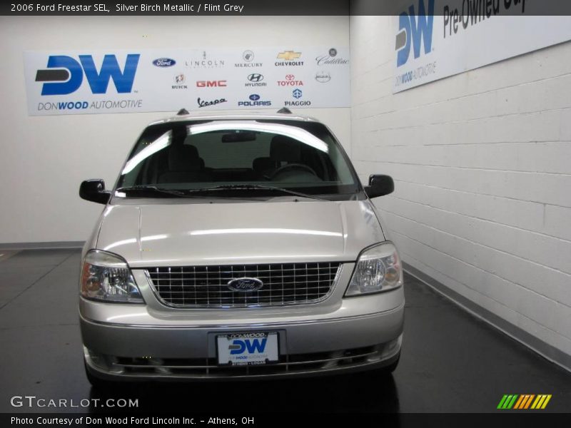 Silver Birch Metallic / Flint Grey 2006 Ford Freestar SEL