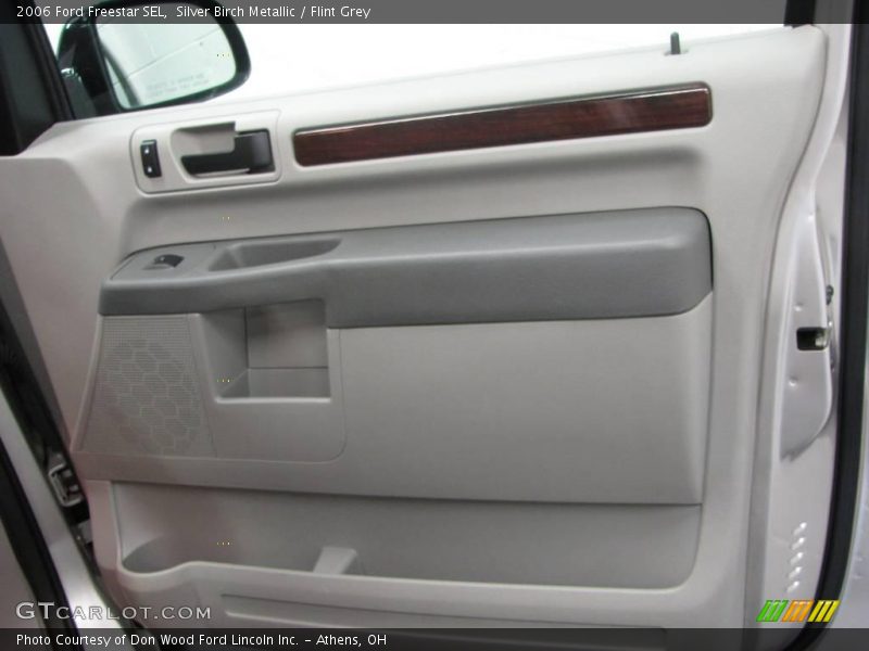 Silver Birch Metallic / Flint Grey 2006 Ford Freestar SEL