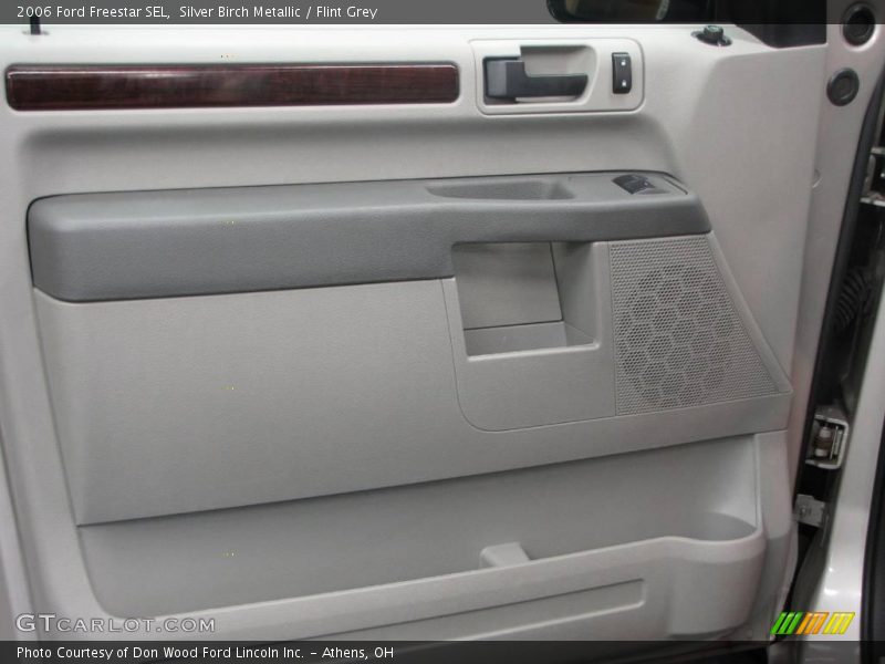 Silver Birch Metallic / Flint Grey 2006 Ford Freestar SEL