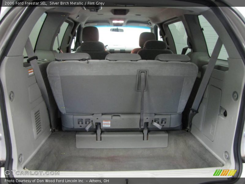 Silver Birch Metallic / Flint Grey 2006 Ford Freestar SEL