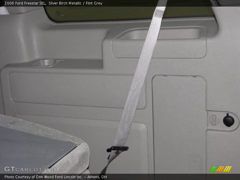 Silver Birch Metallic / Flint Grey 2006 Ford Freestar SEL