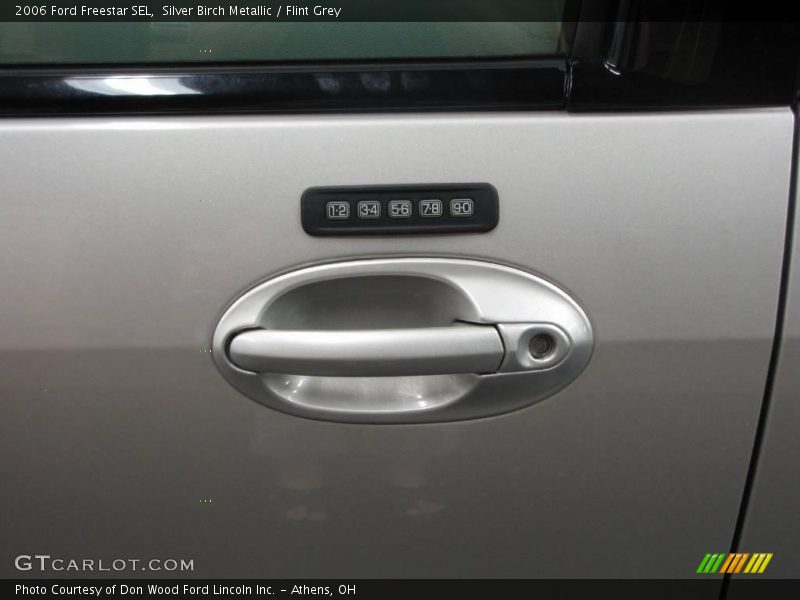 Silver Birch Metallic / Flint Grey 2006 Ford Freestar SEL