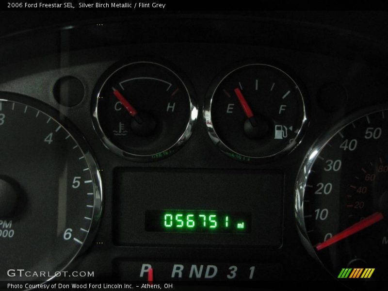 Silver Birch Metallic / Flint Grey 2006 Ford Freestar SEL