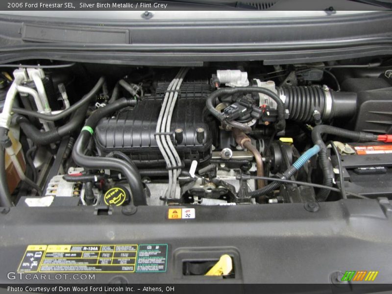 Silver Birch Metallic / Flint Grey 2006 Ford Freestar SEL